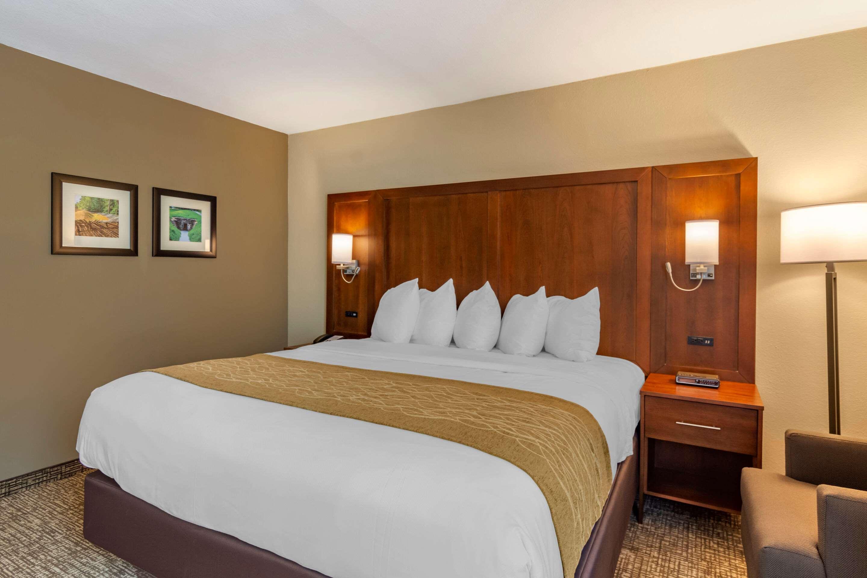 Comfort Inn Petersburg Near Fort Gregg-Adams Екстериор снимка