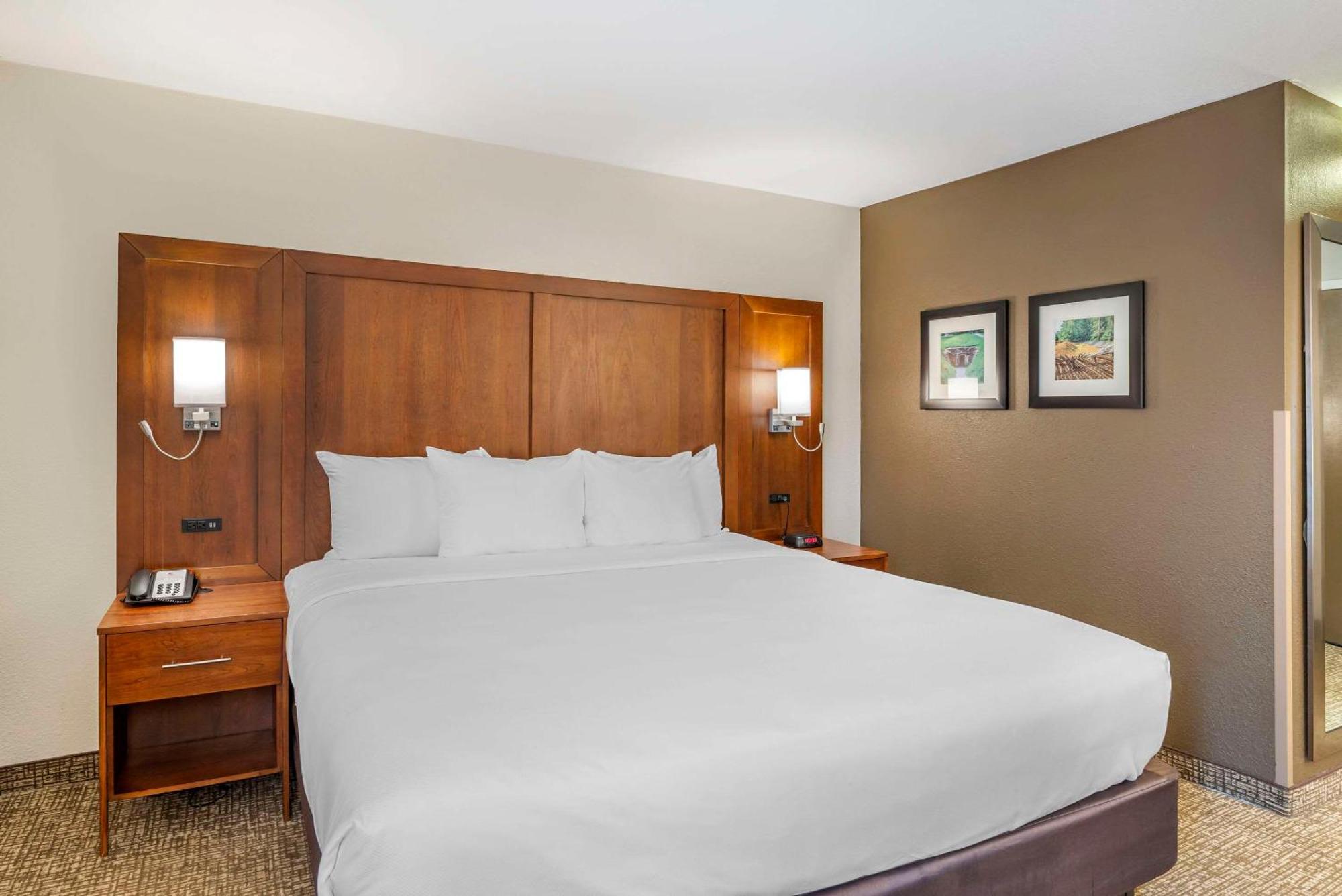 Comfort Inn Petersburg Near Fort Gregg-Adams Екстериор снимка
