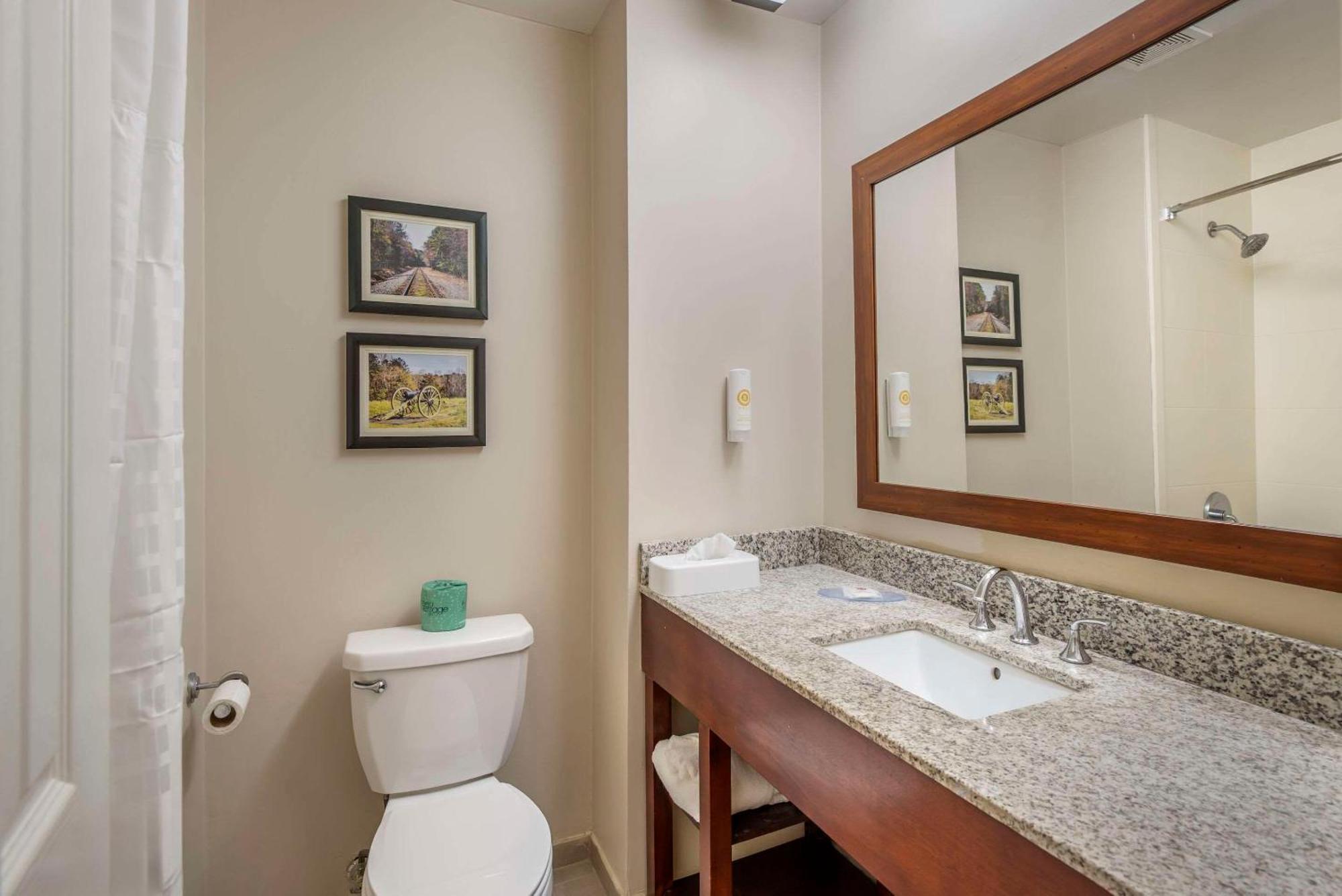 Comfort Inn Petersburg Near Fort Gregg-Adams Екстериор снимка