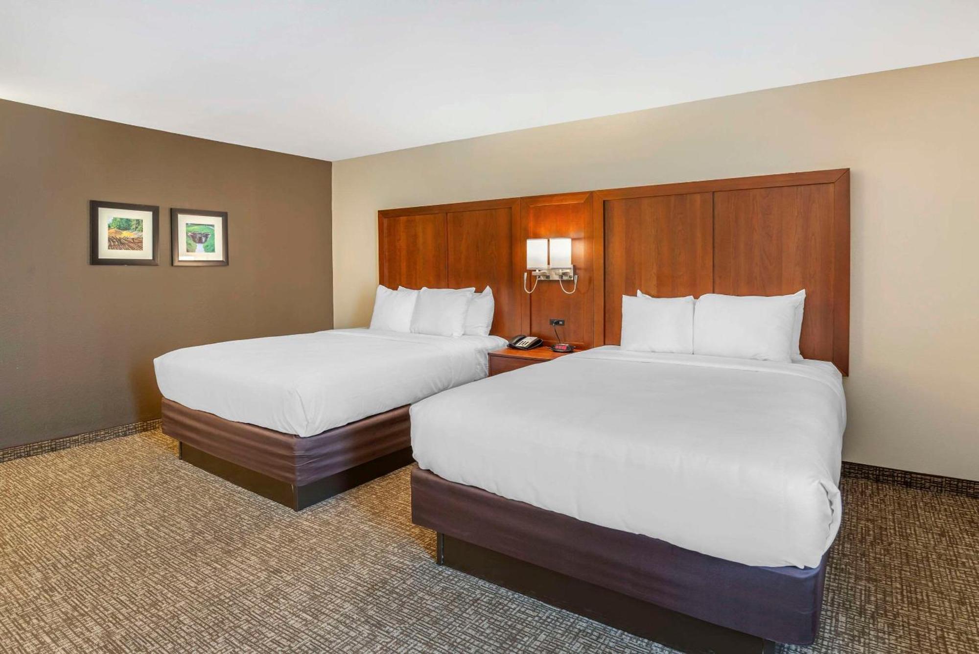 Comfort Inn Petersburg Near Fort Gregg-Adams Екстериор снимка