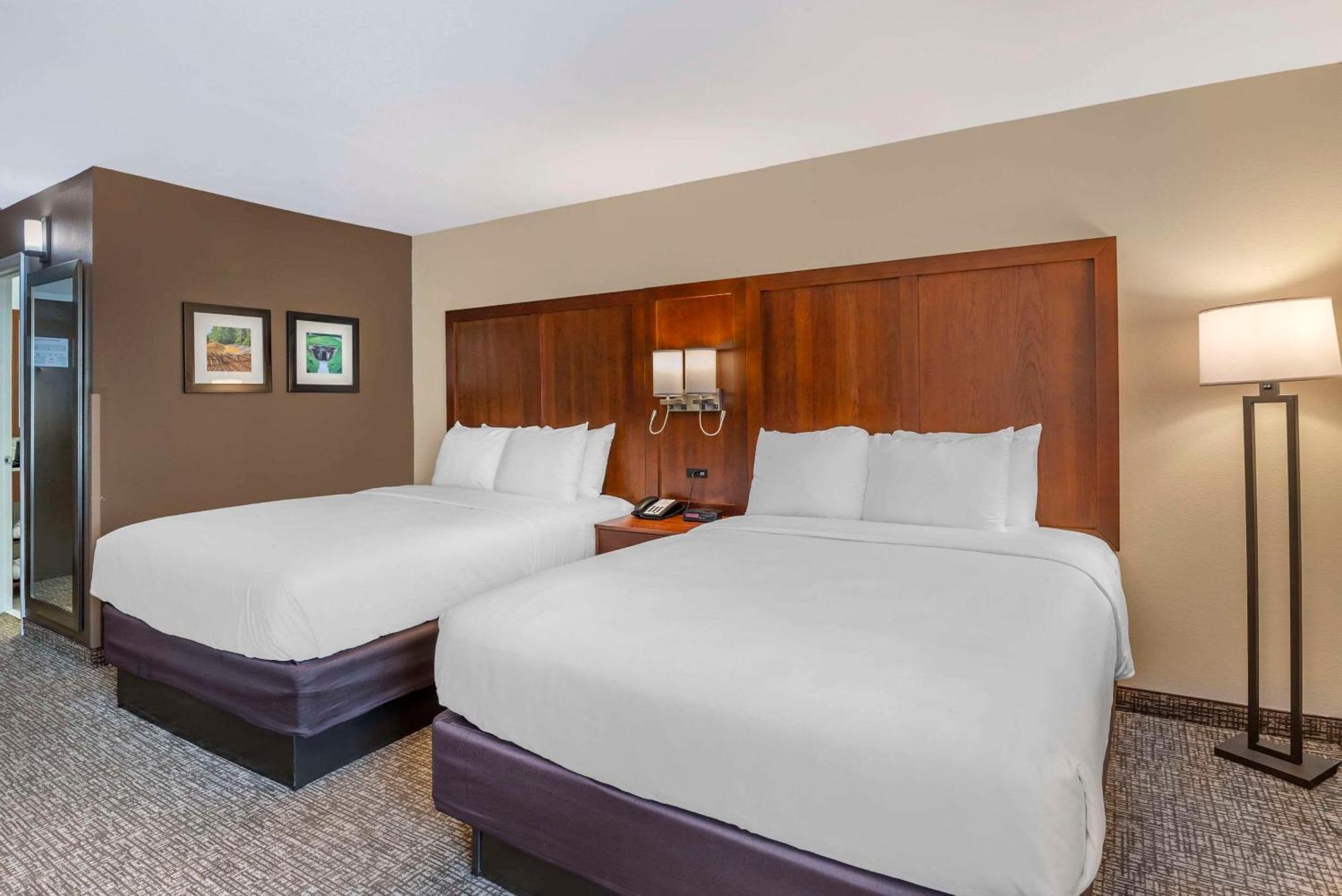 Comfort Inn Petersburg Near Fort Gregg-Adams Екстериор снимка