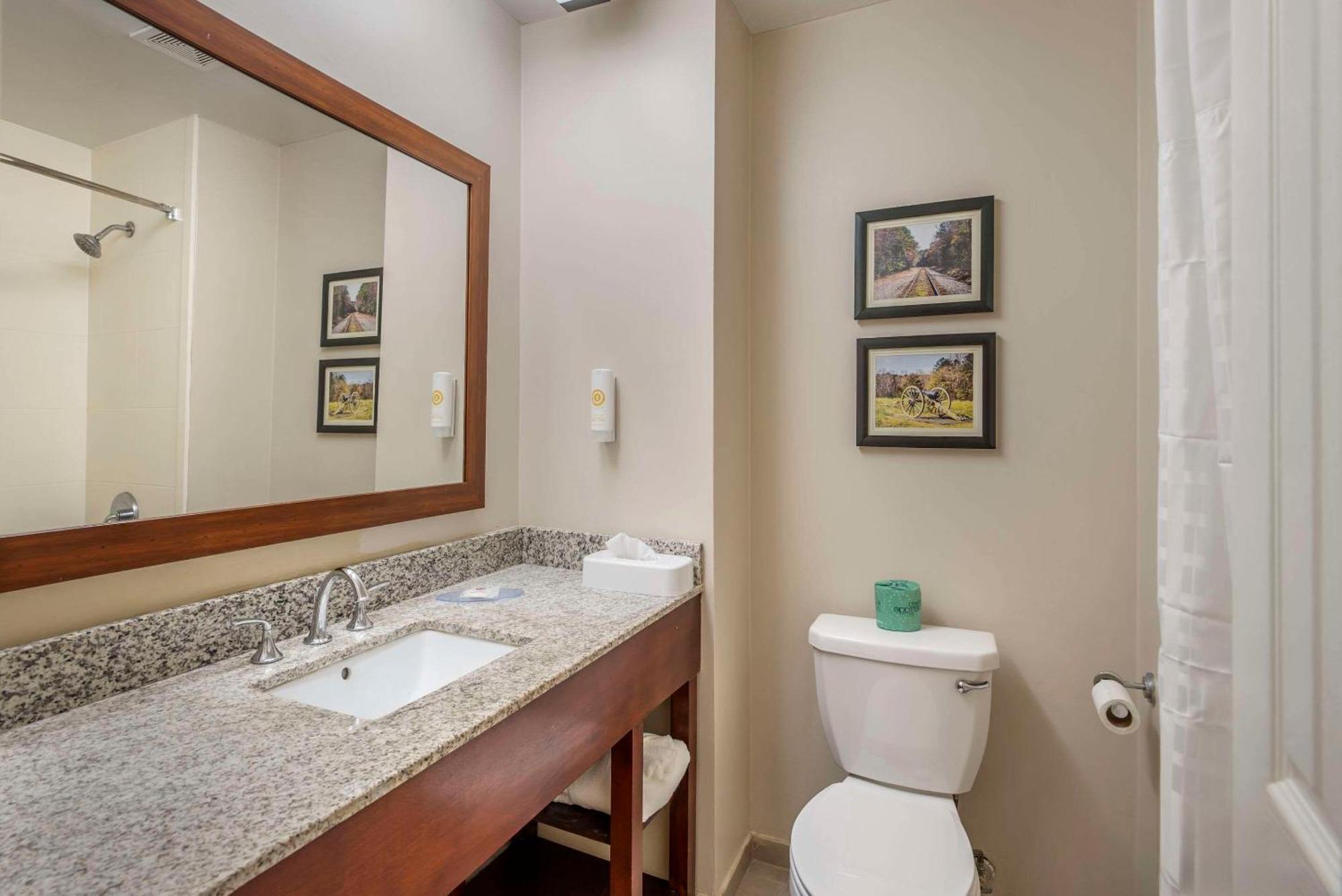 Comfort Inn Petersburg Near Fort Gregg-Adams Екстериор снимка