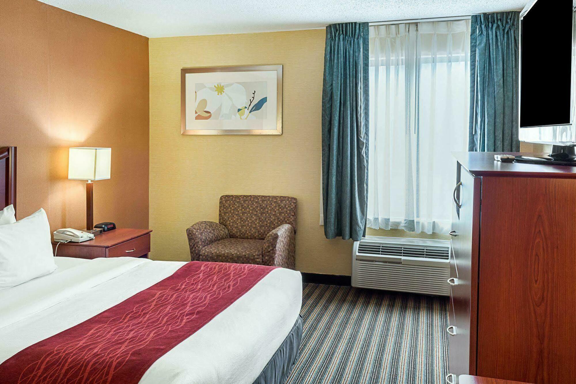 Comfort Inn Petersburg Near Fort Gregg-Adams Екстериор снимка