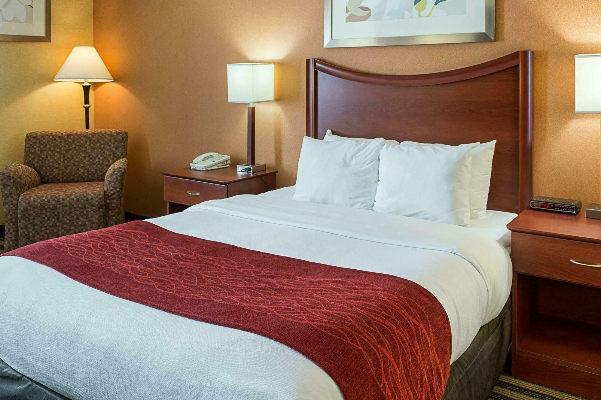 Comfort Inn Petersburg Near Fort Gregg-Adams Екстериор снимка