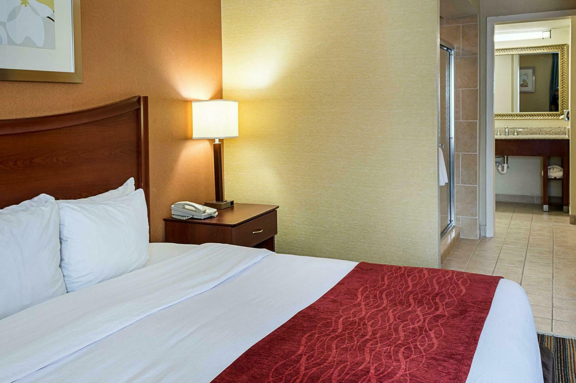 Comfort Inn Petersburg Near Fort Gregg-Adams Екстериор снимка